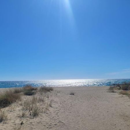 Joli Studio Bleu Mer Canet-en-Roussillon Zewnętrze zdjęcie